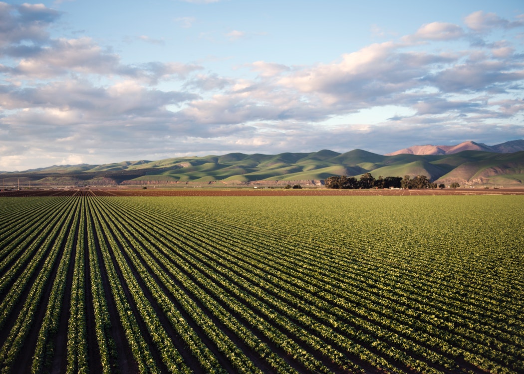 Agriculture Services